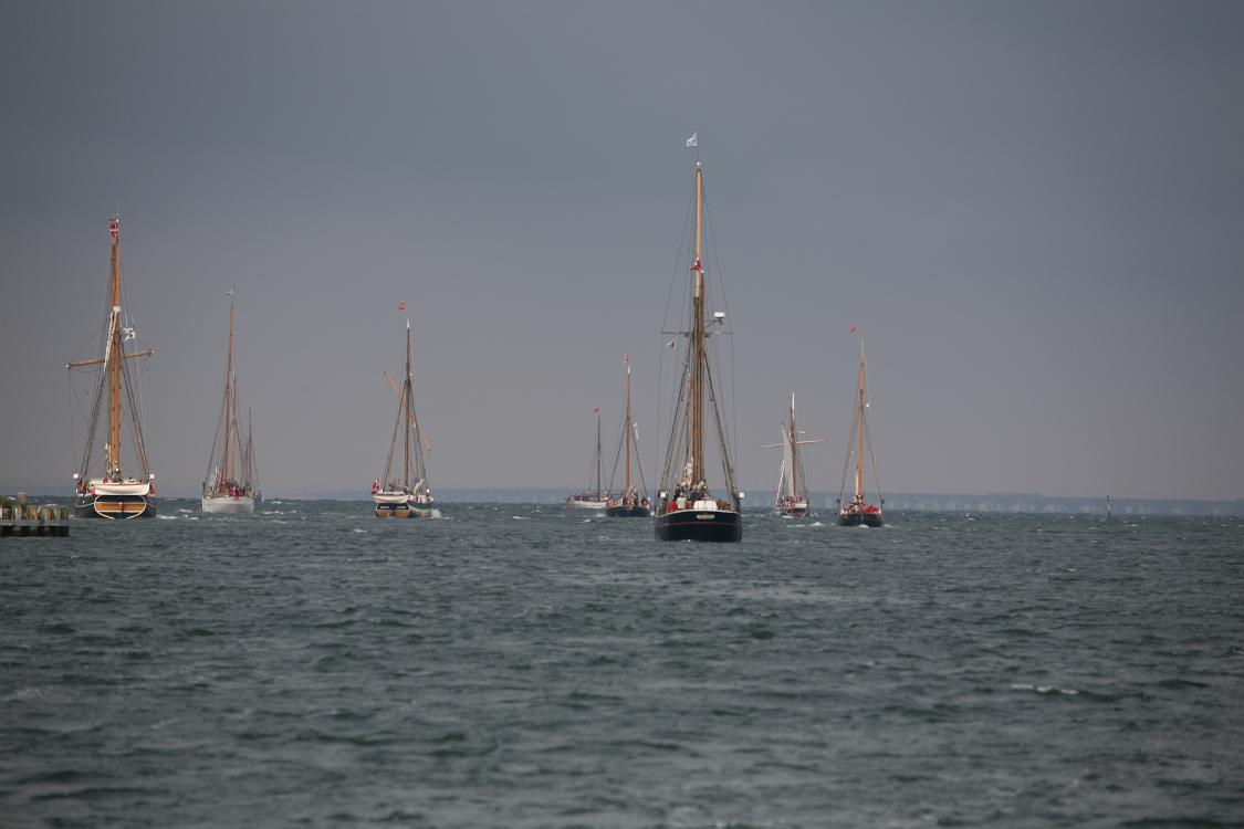 19 IMG 0250