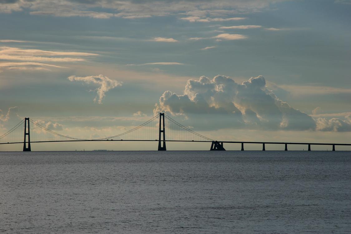 29 IMG 0081