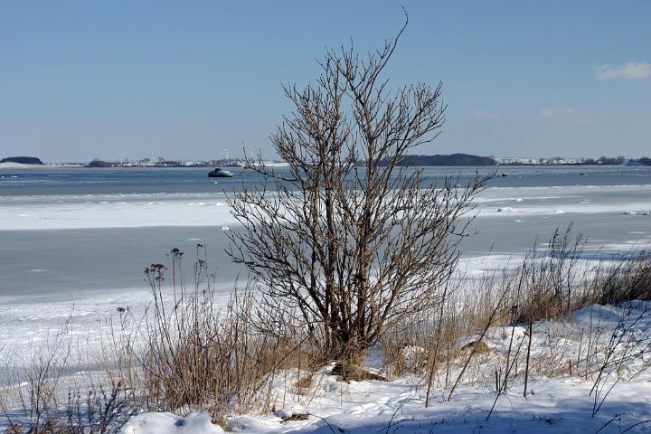 24 IMG 1883