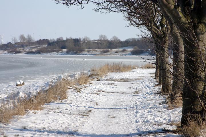 25 IMG 1833